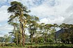 Dia-Show „Ngorongoro-Krater”