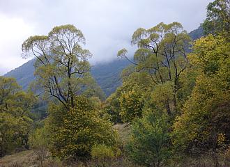 Rila-Gebirge