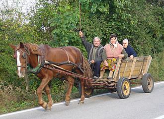 Balkan