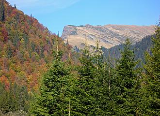 Transfogarasch
