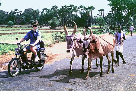 Straße bei Mahabalipuram / Tamil Nadu / Indien (1994)