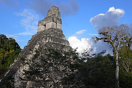 "Tempel I" - das Wahrzeichen von Tikal / Guatemala (2006)