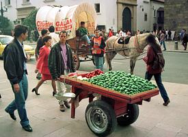 Obsthändler in Bogota