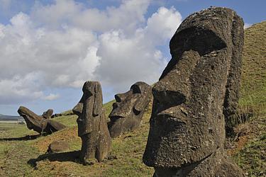 Eine Gruppe Moai am Rano Raraku