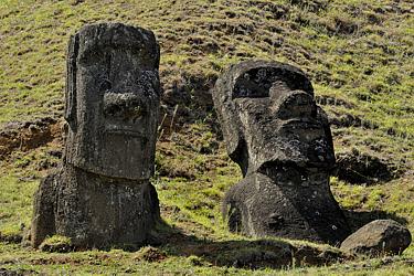 Große Moai am Rano Raraku