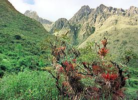 Wildromantische Berglandschaft am "Rio Kusichaka"