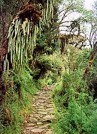 Ein kleines Stück des "Inka-Trails"