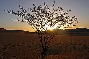 Sonnenaufgang über dem Wadi Tarabil