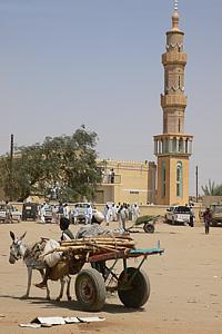 Sudan-2007-0891-v